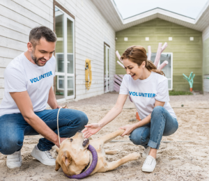 Animal Shelter Architect