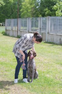Dog Boarding Facility